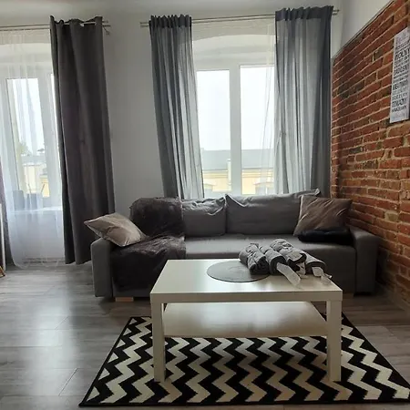 公寓 City Center Zwirki 罗兹