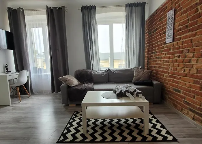 公寓 City Center Zwirki 罗兹